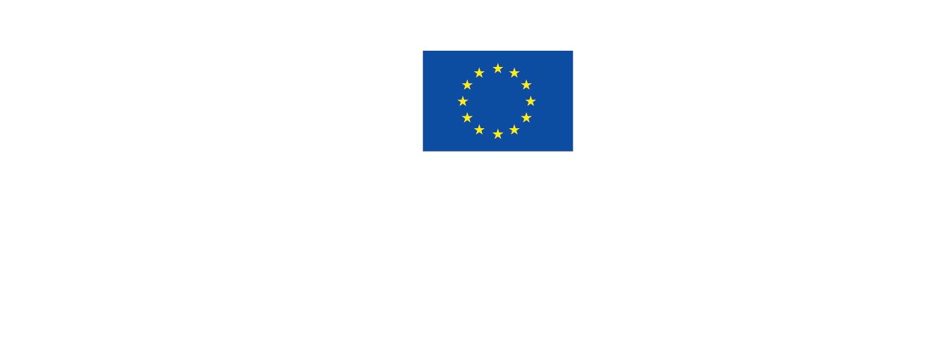 Interreg_Europe_Negative_Monochrome.png