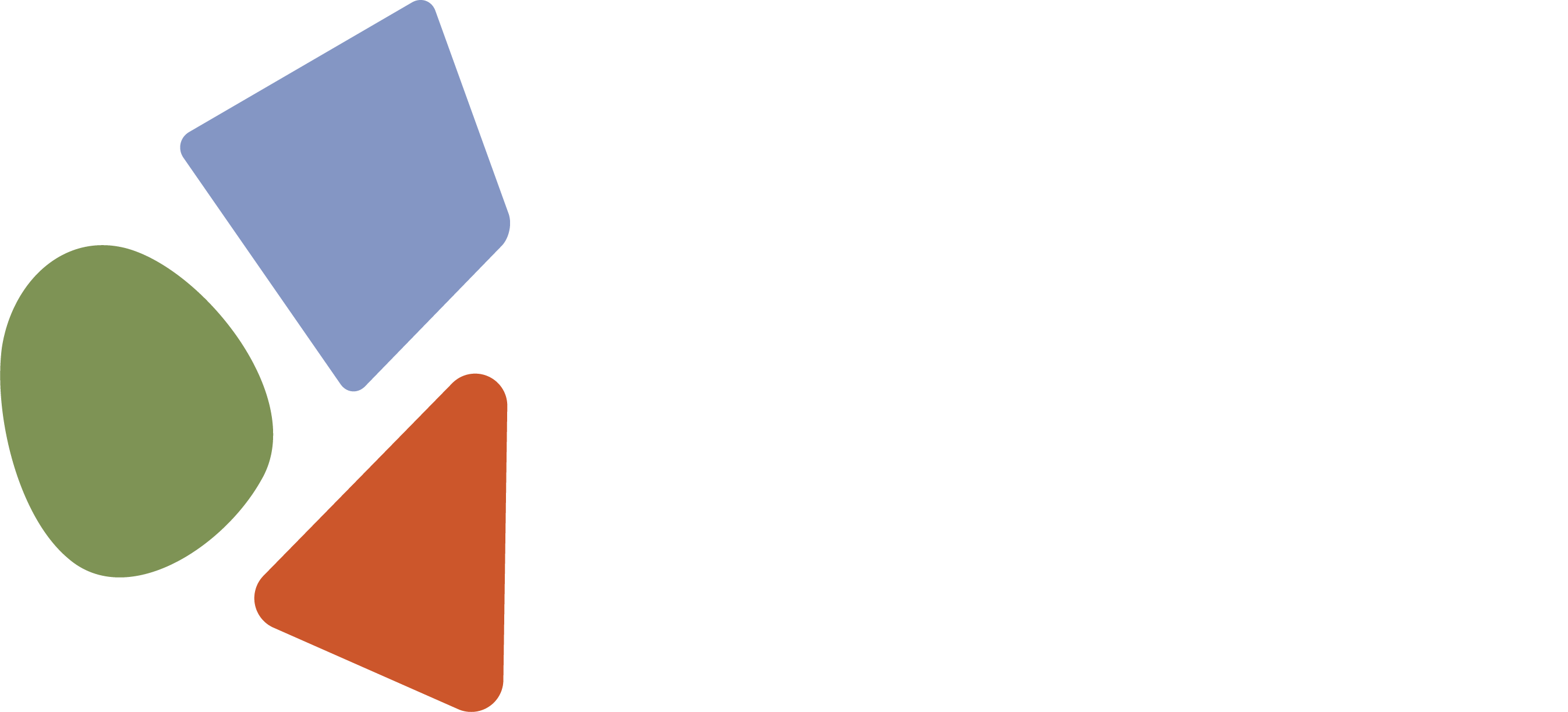 NMC_Logo-Footer.png
